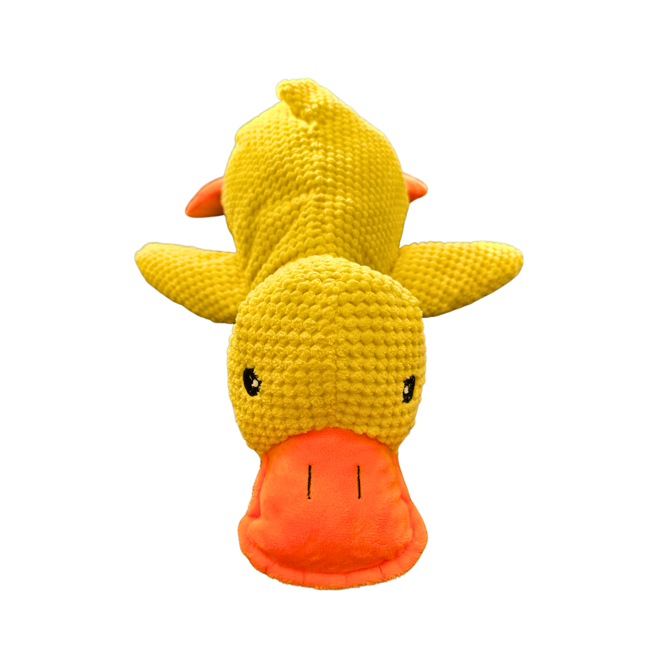 Quack-A-Doodle Duck Plush Toy